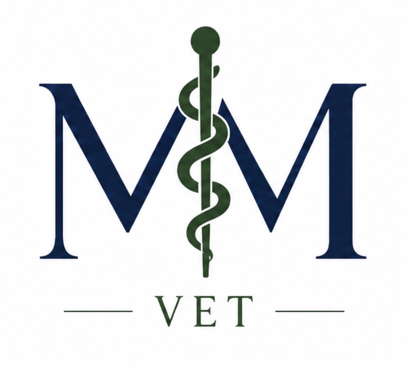 MMVET | Dr Michel Moraes